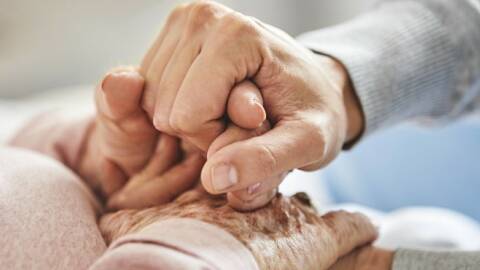 Hansetour: Trotz Absage 12.000 Euro gespendet