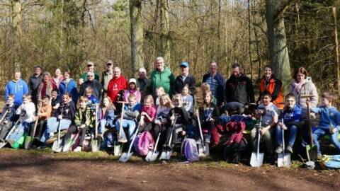 100 junge Eichen fürs Burgdorfer Land