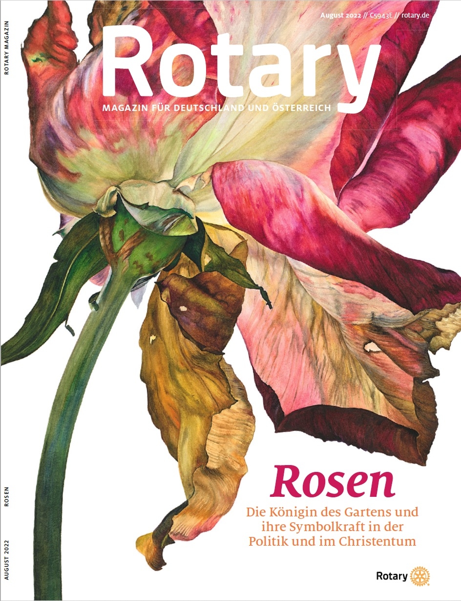 2022, titel, rose, rosen, titelthema, august